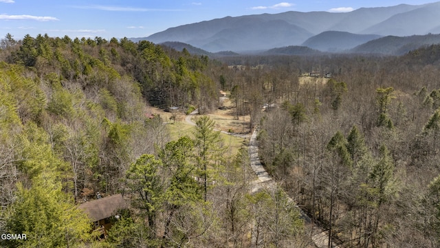 view of mountain feature with a forest view