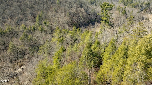 birds eye view of property featuring a wooded view