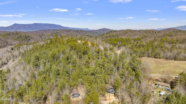 view of mountain feature with a forest view