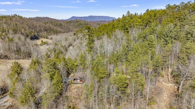 view of mountain feature with a wooded view