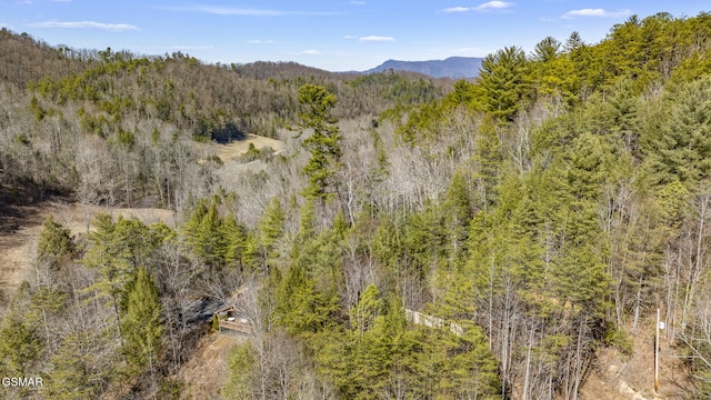 exterior space with a mountain view and a view of trees