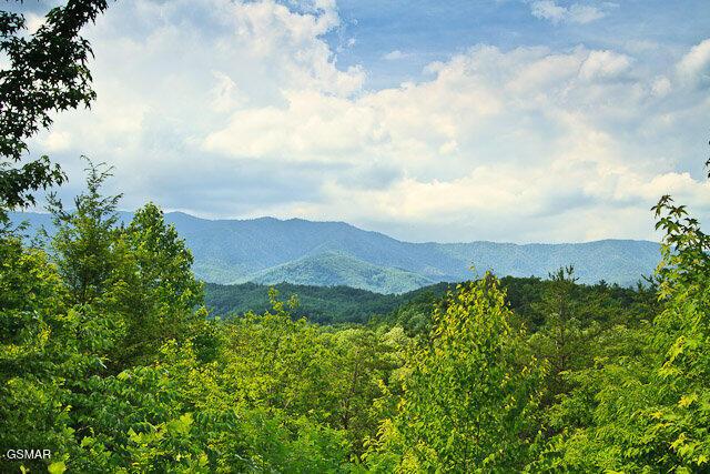 view of mountain feature featuring a forest view