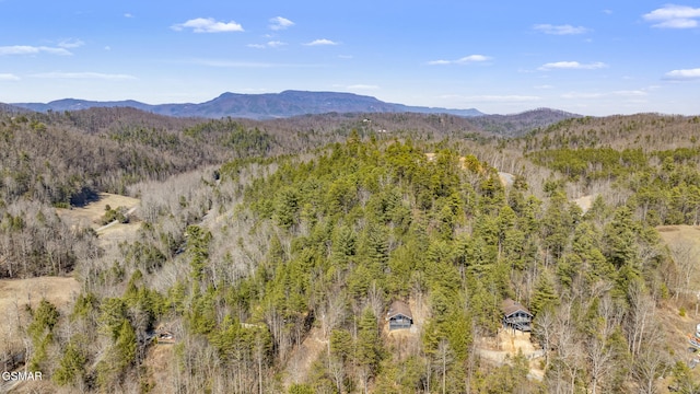 mountain view featuring a wooded view