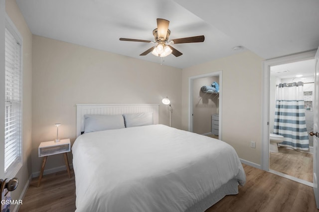 bedroom featuring a closet, a walk in closet, dark hardwood / wood-style floors, connected bathroom, and ceiling fan