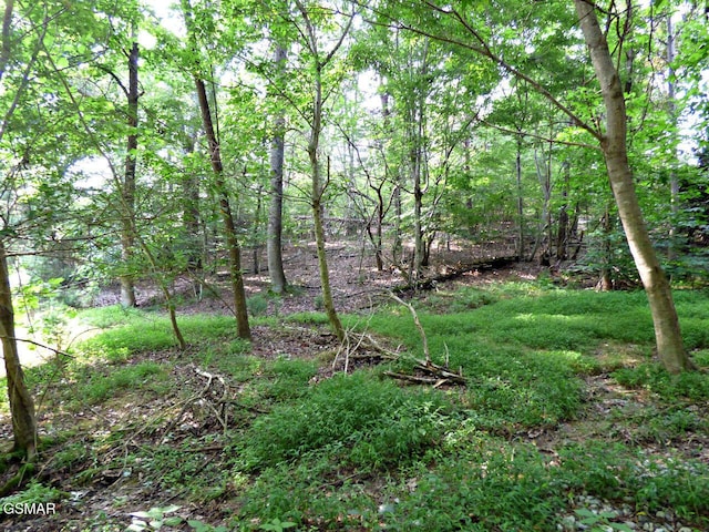LOT6 Cove Springs Dr, Dandridge, TN 37725 - photo 2