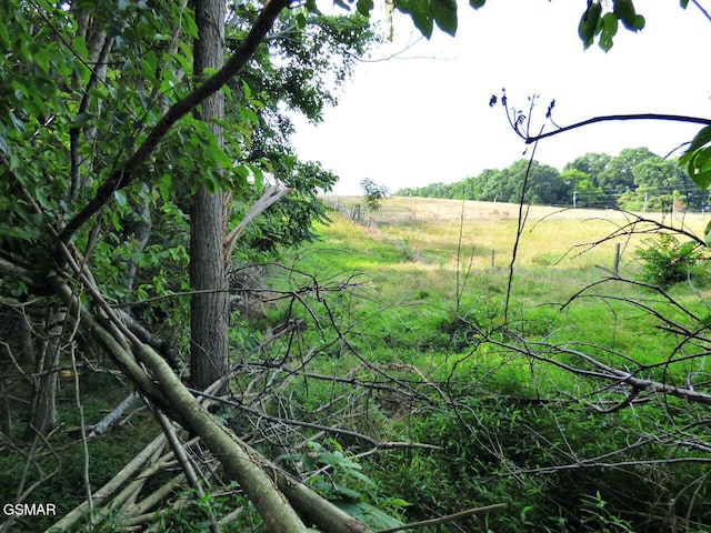 LOT6 Cove Springs Dr, Dandridge, TN 37725 - photo 4