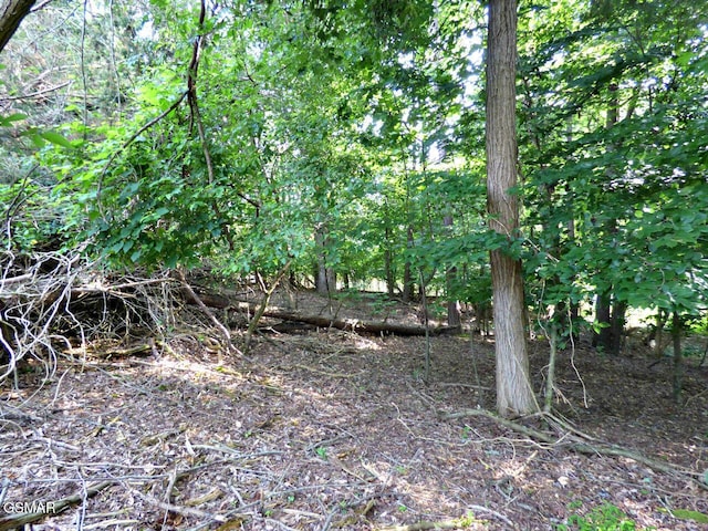 LOT6 Cove Springs Dr, Dandridge, TN 37725 - photo 7