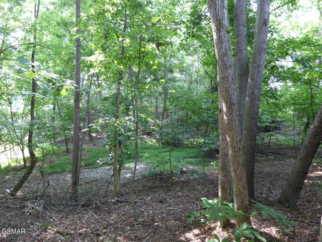 LOT6 Cove Springs Dr, Dandridge, TN 37725 - photo 8