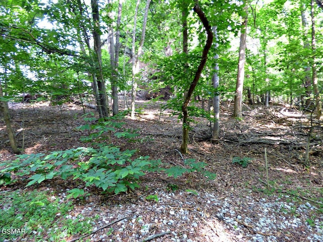 LOT6 Cove Springs Dr, Dandridge, TN 37725 - photo 3