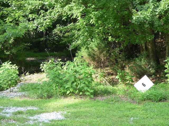 LOT6 Cove Springs Dr, Dandridge, TN 37725 - photo 1