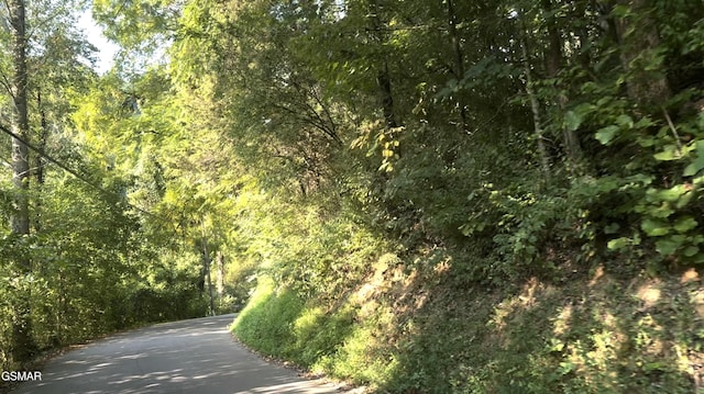 - Caney Creek Road, Pigeon Forge, TN 37863 - photo 1