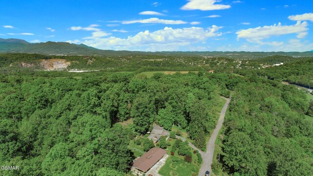 991 Missionary Ridge Rd, Newport, TN 37821 - photo 45