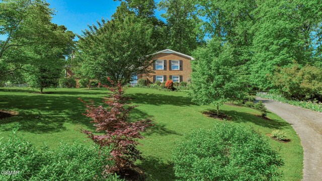 991 Missionary Ridge Rd, Newport, TN 37821 - photo 40