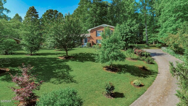 991 Missionary Ridge Rd, Newport, TN 37821 - photo 41