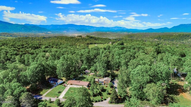 991 Missionary Ridge Rd, Newport, TN 37821 - photo 44