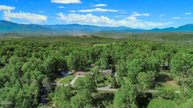 991 Missionary Ridge Rd, Newport, TN 37821 - photo 46
