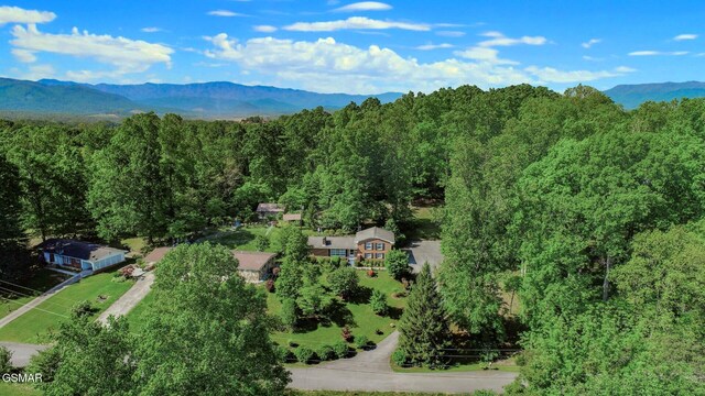 991 Missionary Ridge Rd, Newport, TN 37821 - photo 43