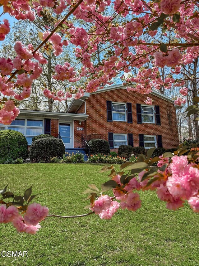 991 Missionary Ridge Rd, Newport, TN 37821 - photo 56