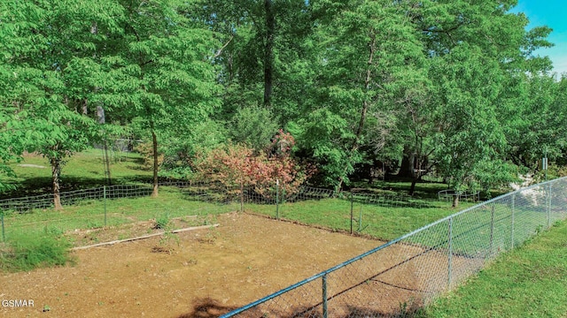 991 Missionary Ridge Rd, Newport, TN 37821 - photo 51