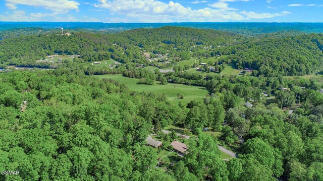 991 Missionary Ridge Rd, Newport, TN 37821 - photo 48