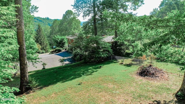 991 Missionary Ridge Rd, Newport, TN 37821 - photo 53