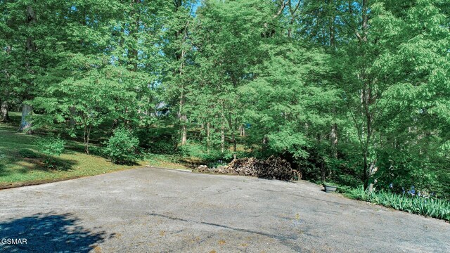 991 Missionary Ridge Rd, Newport, TN 37821 - photo 54