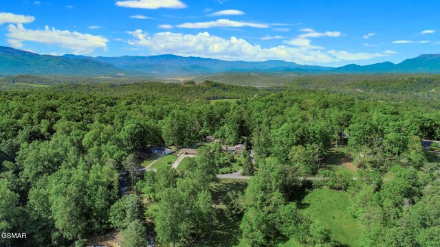 991 Missionary Ridge Rd, Newport, TN 37821 - photo 47