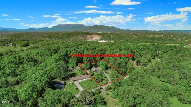 991 Missionary Ridge Rd, Newport, TN 37821 - photo 2