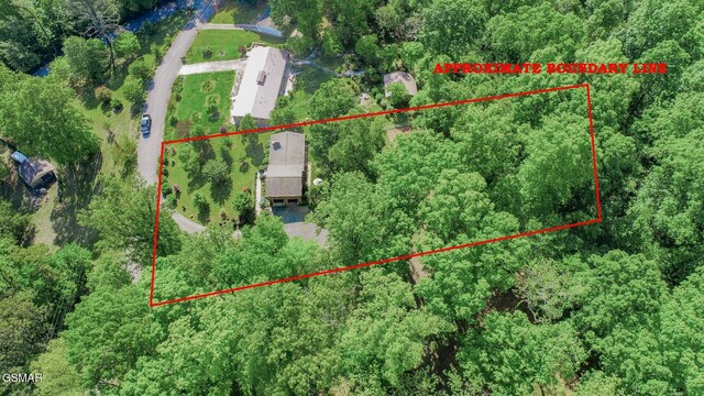 991 Missionary Ridge Rd, Newport, TN 37821 - photo 3