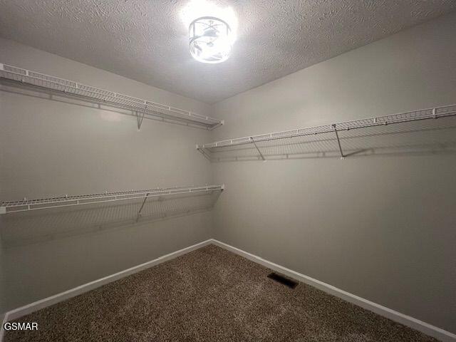 734 Southview Cir, Kodak, TN 37764 - walk in closet featuring carpet floors