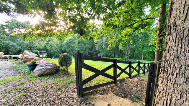 358 Hebron Church Rd, Jefferson City, TN 37760 - photo 38