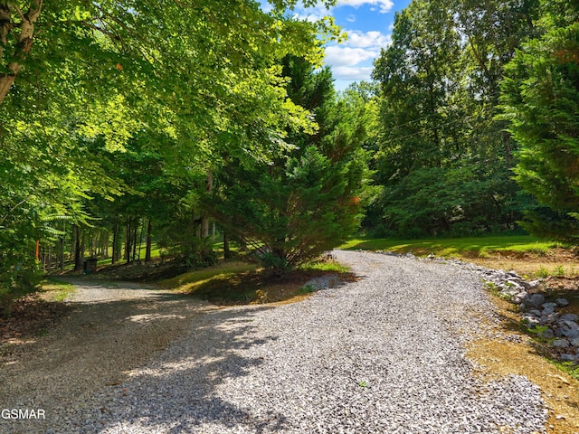 358 Hebron Church Rd, Jefferson City, TN 37760 - photo 45