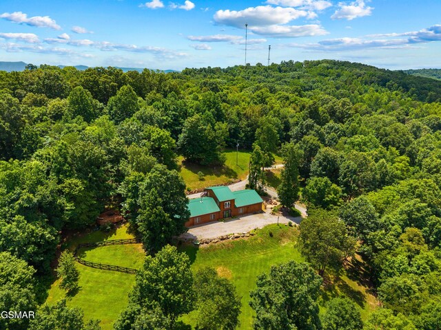 358 Hebron Church Rd, Jefferson City, TN 37760 - photo 48