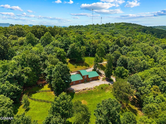 358 Hebron Church Rd, Jefferson City, TN 37760 - photo 49