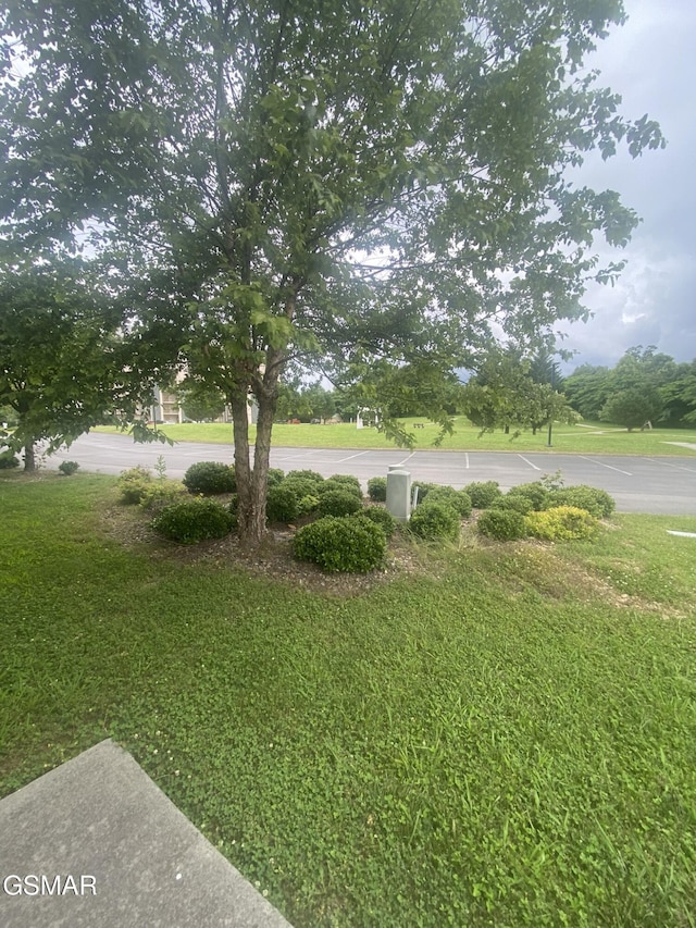 124 Plaza Dr Unit 3107, Pigeon Forge, TN 37863 - view of grassy yard