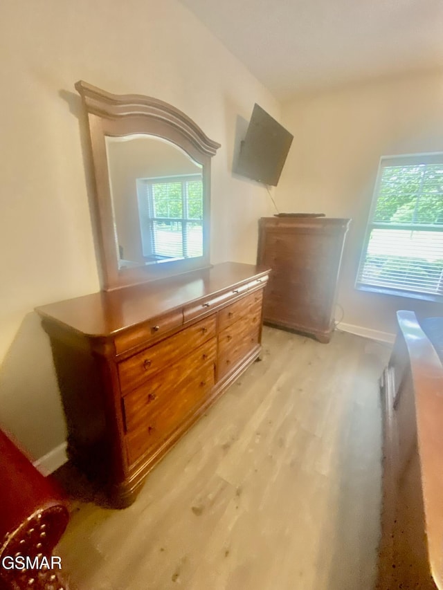 124 Plaza Dr Unit 3107, Pigeon Forge, TN 37863 - bonus room featuring light wood-style flooring and baseboards