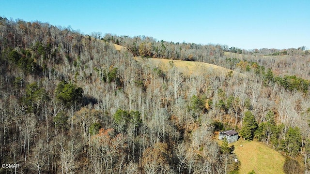 LOT421 Mystic Star Dr, New Tazewell, TN 37825