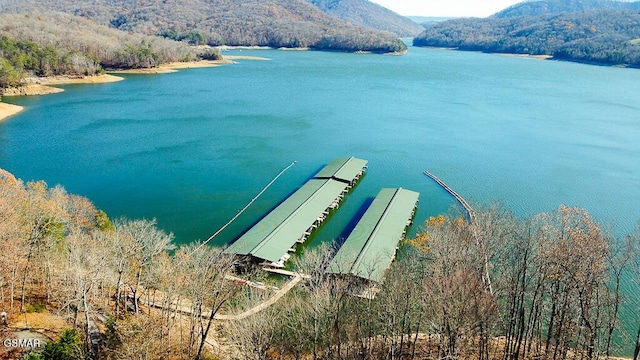 LOT421 Mystic Star Dr, New Tazewell, TN 37825