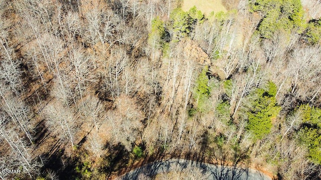 LOT421 Mystic Star Dr, New Tazewell, TN 37825