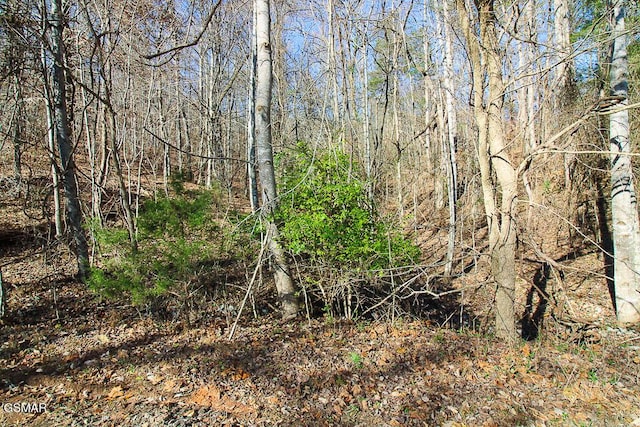 LOT421 Mystic Star Dr, New Tazewell, TN 37825