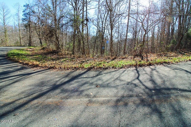 LOT421 Mystic Star Dr, New Tazewell, TN 37825