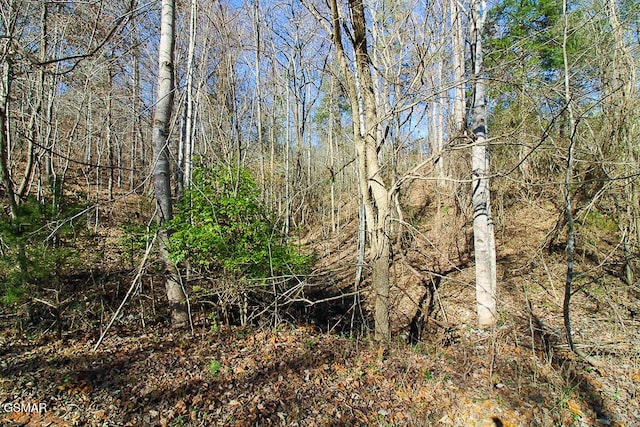 LOT421 Mystic Star Dr, New Tazewell, TN 37825