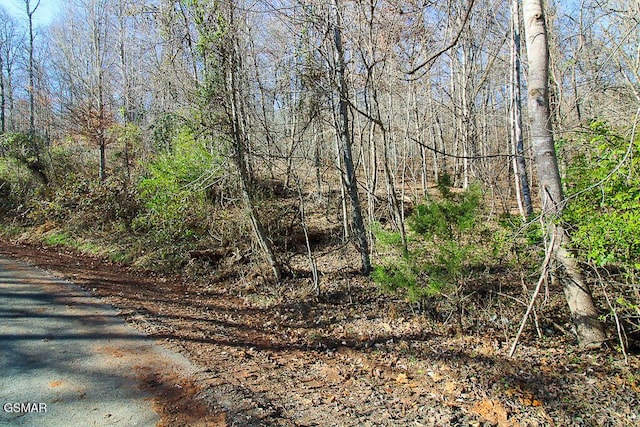 LOT421 Mystic Star Dr, New Tazewell, TN 37825