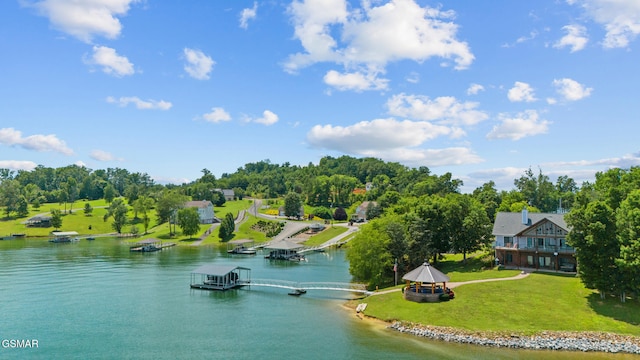 3995 Island View Way, Sevierville, TN 37876 - aerial view of property and surrounding area featuring a large body of water and a tree filled landscape