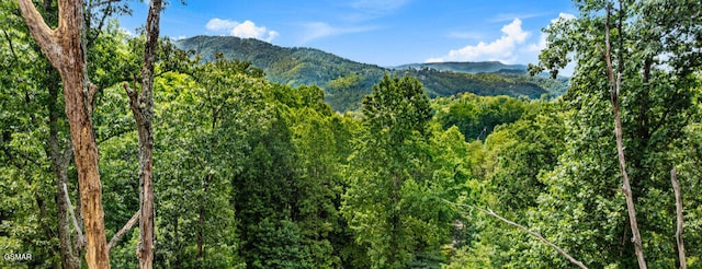 LOT7R2 E Kings Ridge Rd, Gatlinburg, TN 37738