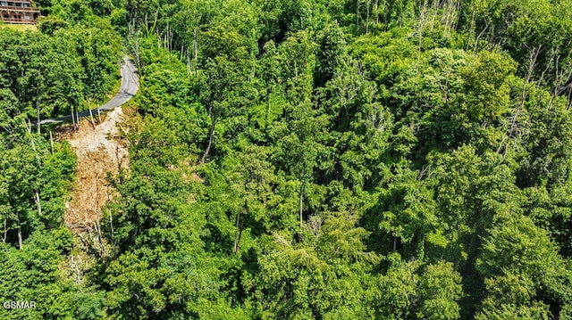 LOT7R2 E Kings Ridge Rd, Gatlinburg, TN 37738