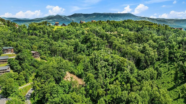 LOT7R2 E Kings Ridge Rd, Gatlinburg, TN 37738