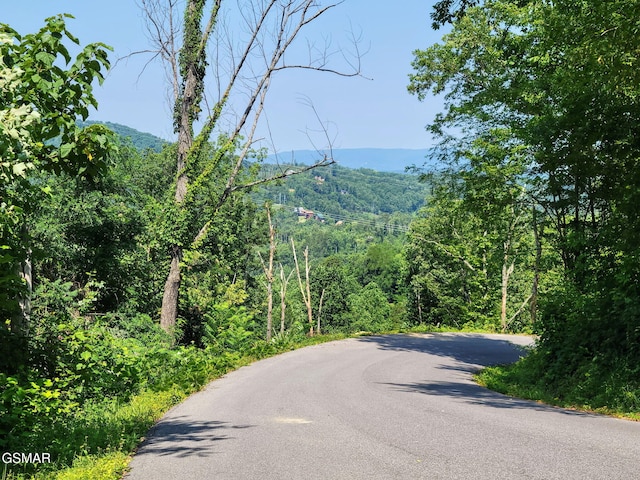 LOT7R2 E Kings Ridge Rd, Gatlinburg, TN 37738