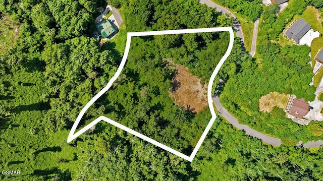 LOT7R2 E Kings Ridge Rd, Gatlinburg, TN 37738