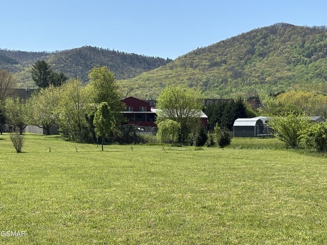 147 Padgett Mill Rd, Cosby, TN 37722 - view of mountain feature